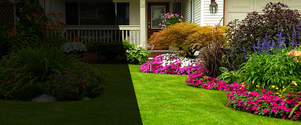 Lenoir Landscapers