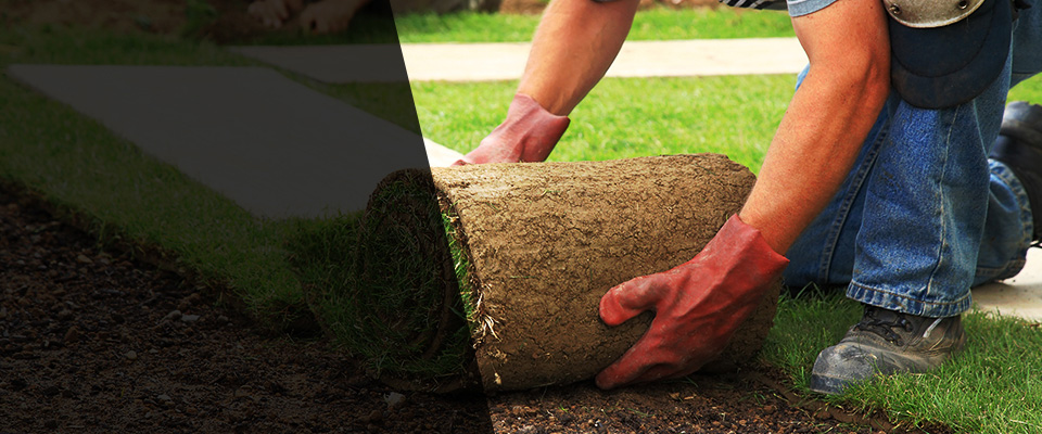 Lenoir Landscapers